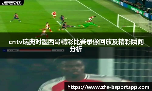 cntv瑞典对墨西哥精彩比赛录像回放及精彩瞬间分析